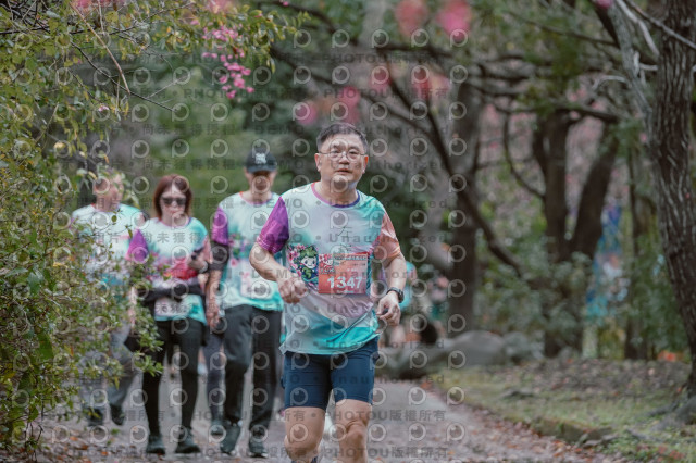 2026左岸竹東櫻花馬拉松Zhudong Sakura Marathon