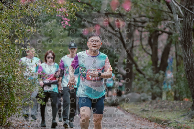 2026左岸竹東櫻花馬拉松Zhudong Sakura Marathon