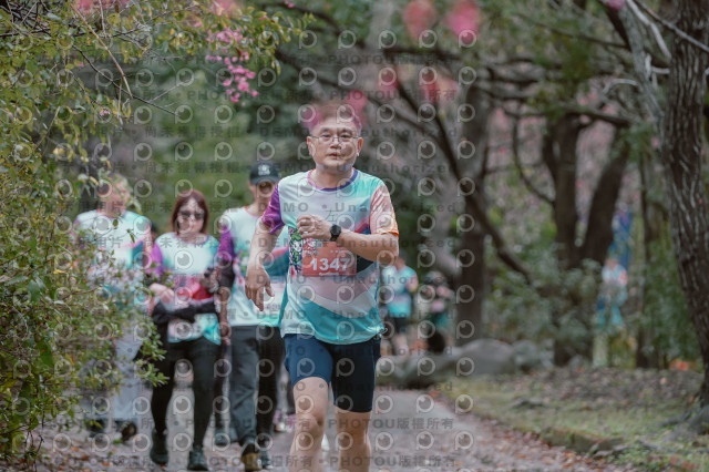 2026左岸竹東櫻花馬拉松Zhudong Sakura Marathon
