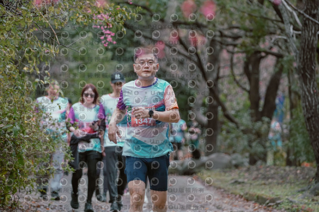 2026左岸竹東櫻花馬拉松Zhudong Sakura Marathon