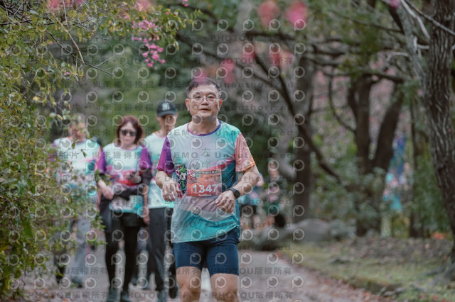 2026左岸竹東櫻花馬拉松Zhudong Sakura Marathon