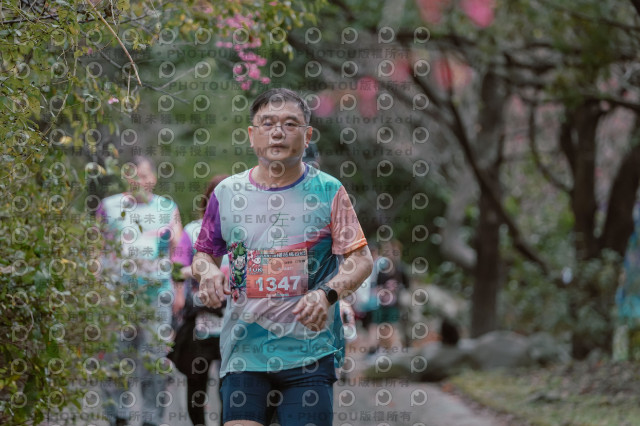 2026左岸竹東櫻花馬拉松Zhudong Sakura Marathon