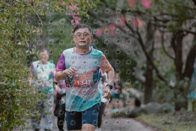 2026左岸竹東櫻花馬拉松Zhudong Sakura Marathon