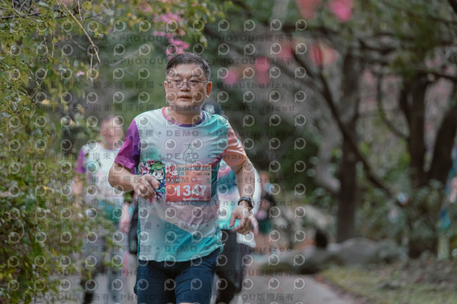 2026左岸竹東櫻花馬拉松Zhudong Sakura Marathon