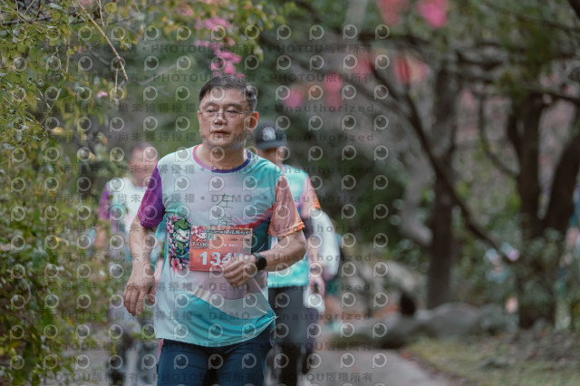 2026左岸竹東櫻花馬拉松Zhudong Sakura Marathon