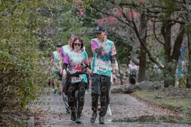 2026左岸竹東櫻花馬拉松Zhudong Sakura Marathon