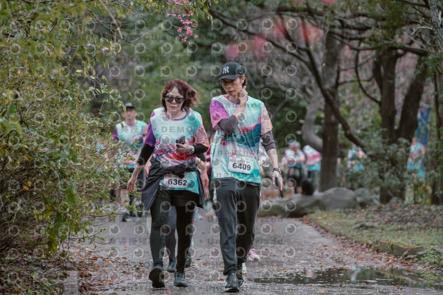 2026左岸竹東櫻花馬拉松Zhudong Sakura Marathon