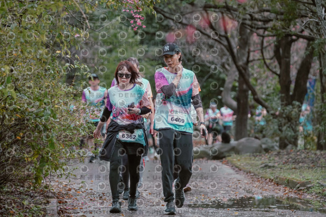 2026左岸竹東櫻花馬拉松Zhudong Sakura Marathon