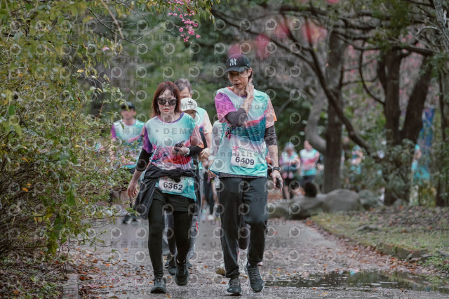 2026左岸竹東櫻花馬拉松Zhudong Sakura Marathon