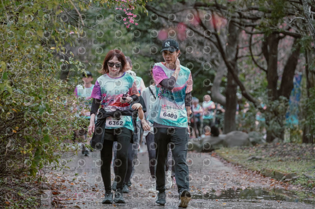 2026左岸竹東櫻花馬拉松Zhudong Sakura Marathon