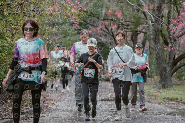 2026左岸竹東櫻花馬拉松Zhudong Sakura Marathon