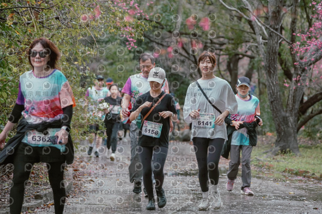 2026左岸竹東櫻花馬拉松Zhudong Sakura Marathon