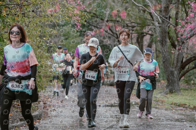 2026左岸竹東櫻花馬拉松Zhudong Sakura Marathon