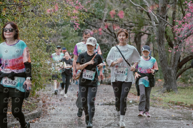 2026左岸竹東櫻花馬拉松Zhudong Sakura Marathon