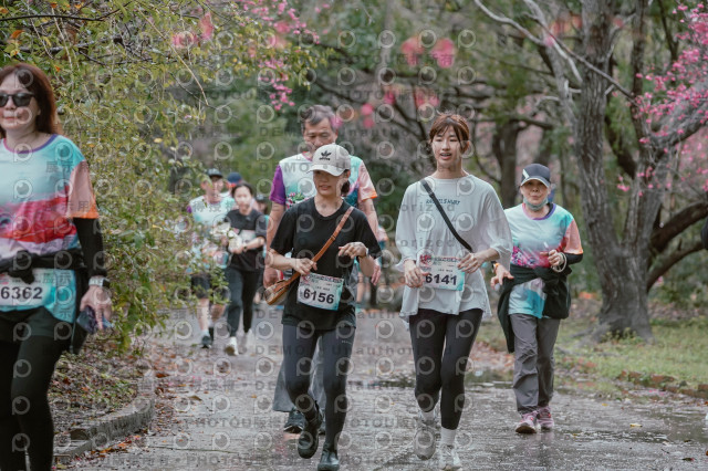 2026左岸竹東櫻花馬拉松Zhudong Sakura Marathon