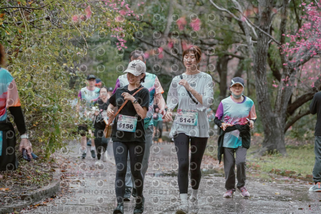 2026左岸竹東櫻花馬拉松Zhudong Sakura Marathon