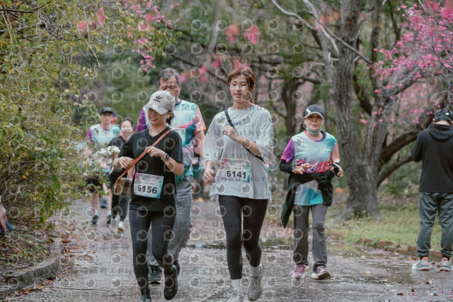 2026左岸竹東櫻花馬拉松Zhudong Sakura Marathon