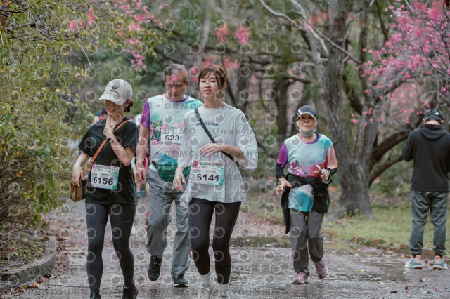 2026左岸竹東櫻花馬拉松Zhudong Sakura Marathon
