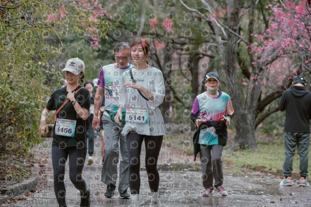 2026左岸竹東櫻花馬拉松Zhudong Sakura Marathon