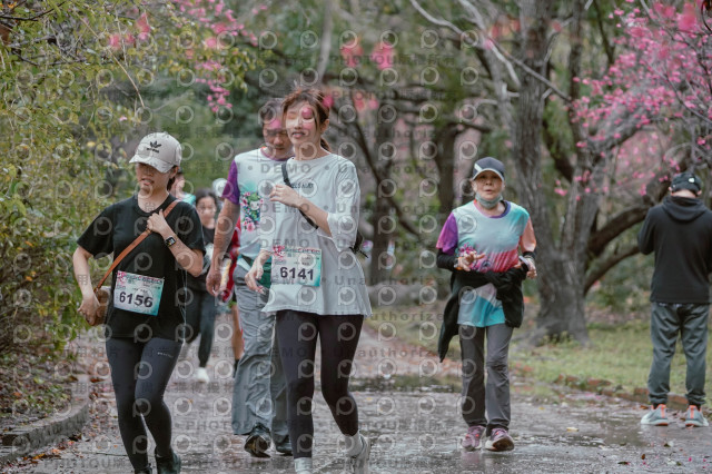 2026左岸竹東櫻花馬拉松Zhudong Sakura Marathon