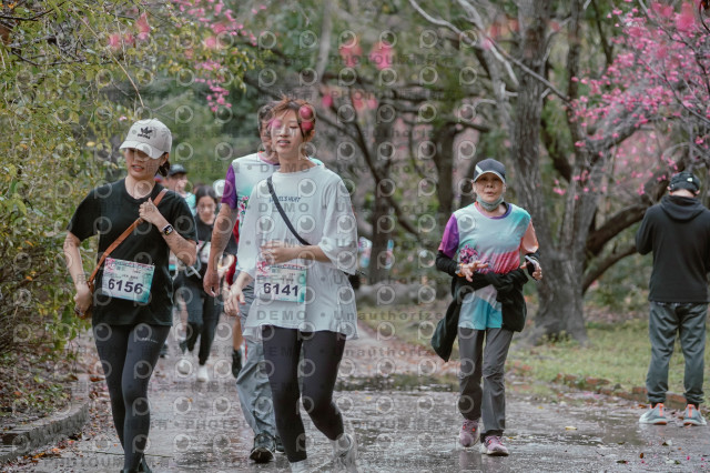 2026左岸竹東櫻花馬拉松Zhudong Sakura Marathon