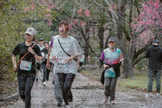 2026左岸竹東櫻花馬拉松Zhudong Sakura Marathon