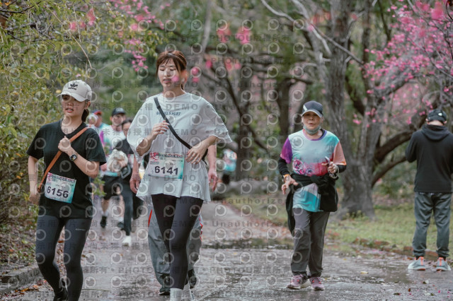 2026左岸竹東櫻花馬拉松Zhudong Sakura Marathon