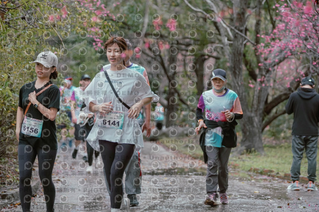 2026左岸竹東櫻花馬拉松Zhudong Sakura Marathon