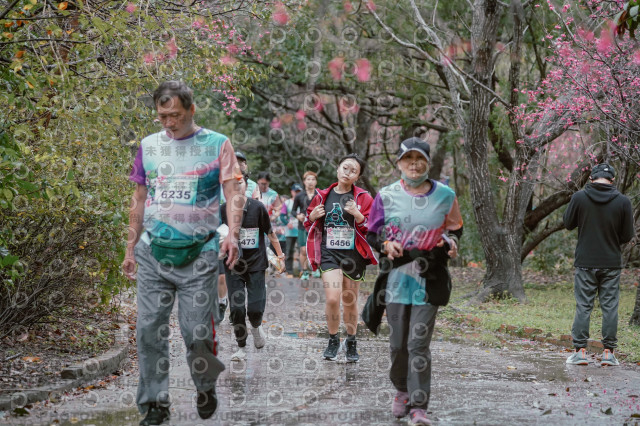 2026左岸竹東櫻花馬拉松Zhudong Sakura Marathon