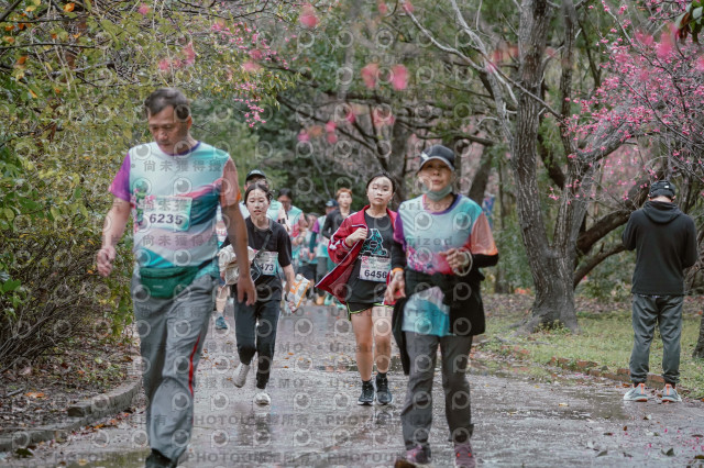 2026左岸竹東櫻花馬拉松Zhudong Sakura Marathon