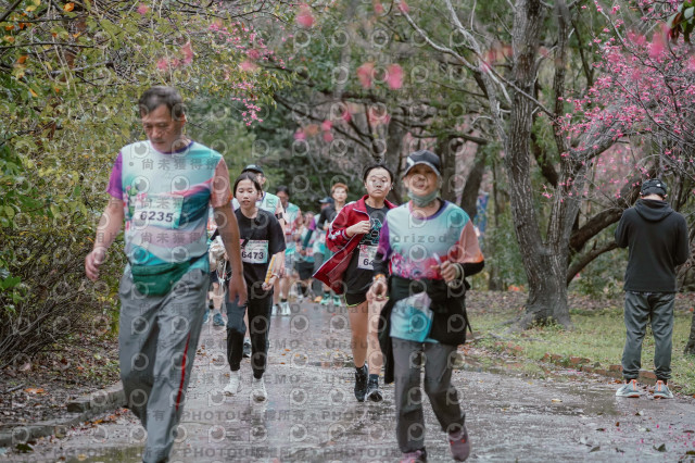 2026左岸竹東櫻花馬拉松Zhudong Sakura Marathon