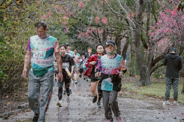 2026左岸竹東櫻花馬拉松Zhudong Sakura Marathon