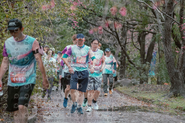 2026左岸竹東櫻花馬拉松Zhudong Sakura Marathon