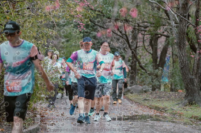 2026左岸竹東櫻花馬拉松Zhudong Sakura Marathon
