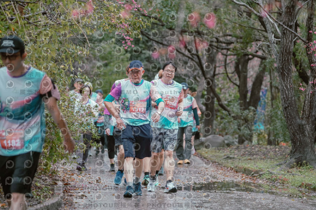 2026左岸竹東櫻花馬拉松Zhudong Sakura Marathon