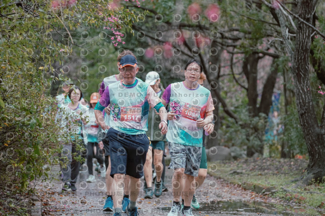 2026左岸竹東櫻花馬拉松Zhudong Sakura Marathon