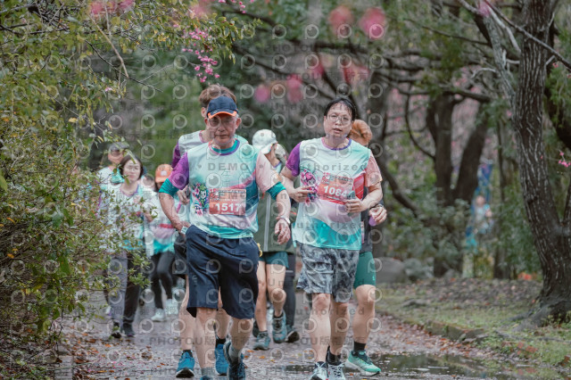 2026左岸竹東櫻花馬拉松Zhudong Sakura Marathon