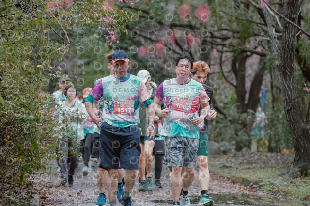 2026左岸竹東櫻花馬拉松Zhudong Sakura Marathon