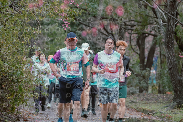 2026左岸竹東櫻花馬拉松Zhudong Sakura Marathon