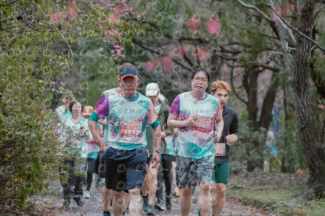 2026左岸竹東櫻花馬拉松Zhudong Sakura Marathon