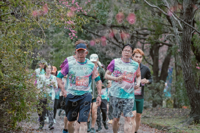 2026左岸竹東櫻花馬拉松Zhudong Sakura Marathon