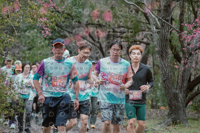 2026左岸竹東櫻花馬拉松Zhudong Sakura Marathon