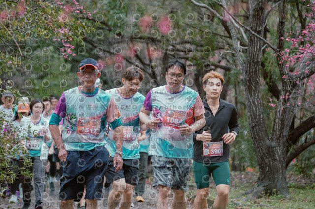 2026左岸竹東櫻花馬拉松Zhudong Sakura Marathon