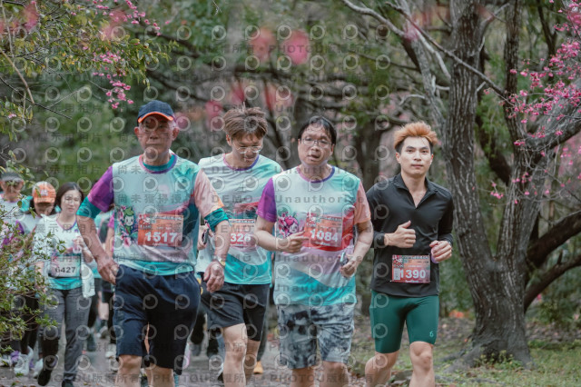 2026左岸竹東櫻花馬拉松Zhudong Sakura Marathon