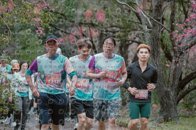2026左岸竹東櫻花馬拉松Zhudong Sakura Marathon