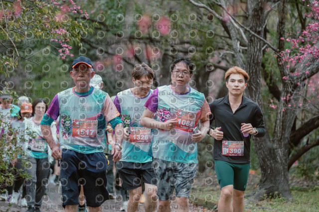 2026左岸竹東櫻花馬拉松Zhudong Sakura Marathon