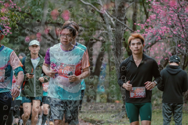 2026左岸竹東櫻花馬拉松Zhudong Sakura Marathon