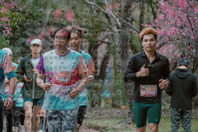 2026左岸竹東櫻花馬拉松Zhudong Sakura Marathon