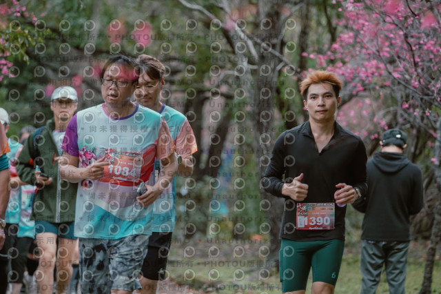 2026左岸竹東櫻花馬拉松Zhudong Sakura Marathon