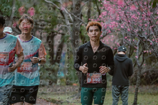 2026左岸竹東櫻花馬拉松Zhudong Sakura Marathon